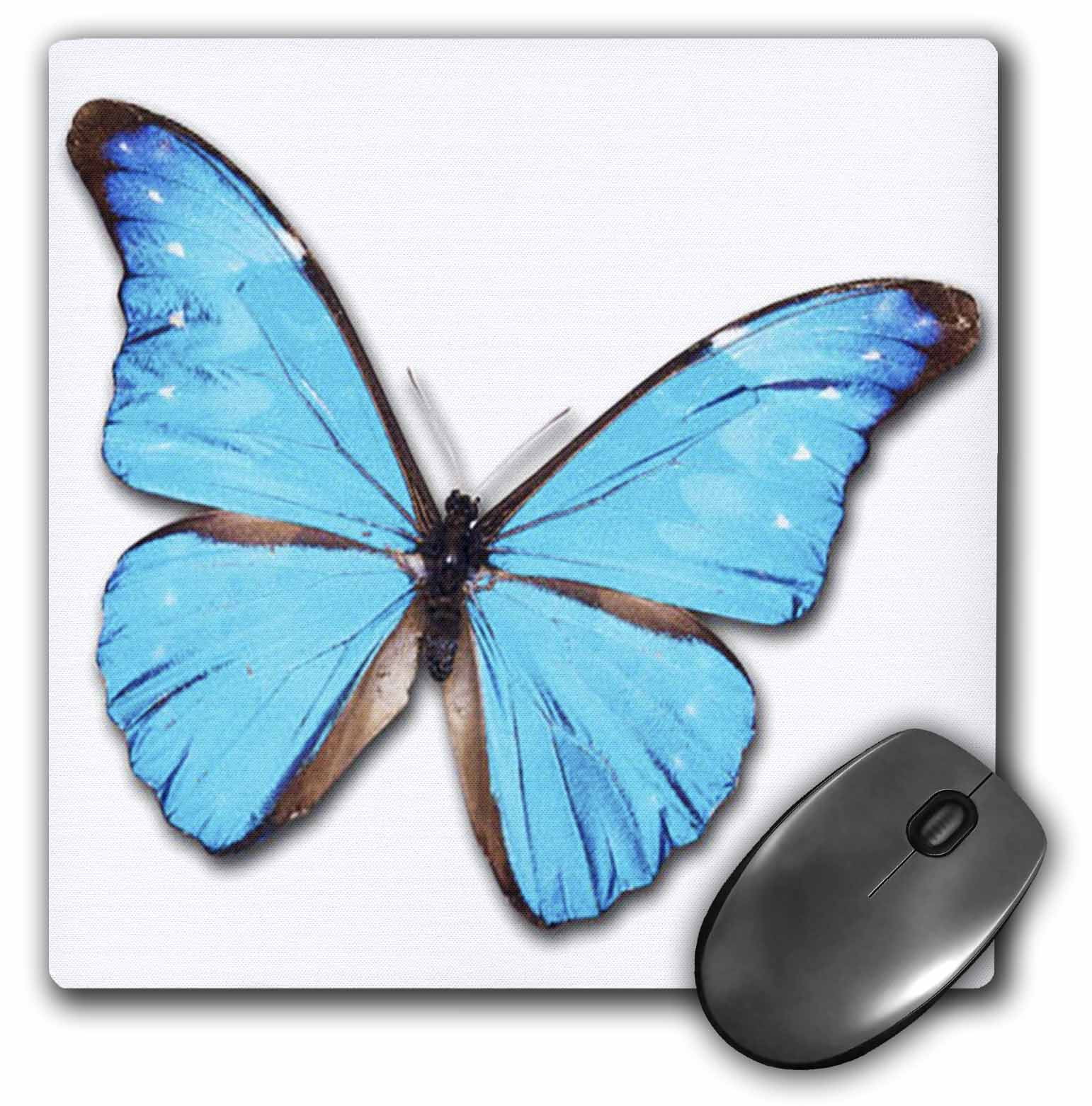 3dRose Turquoise Large Butterfly, Mouse Pad, 8 by 8 inches Walmart