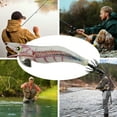 thumbnail image 4 of Lifetechs Shrimp Fishing Lure with Sharp Squid Hook Glow in The Dark Realistic Freshwater Seawater Universal Luminous Artificial Bait Outdoor Fishing Supplies, 4 of 7