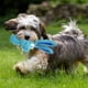 thumbnail image 5 of Weerihhol - Congelador para la dentición de cachorros, 1 pieza de juguete para perros, chirriador de látex, productos de entrenamiento para masticar, juguetes para perros con chirrido, juguetes de, 5 of 8