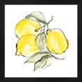 thumbnail image 3 of Great Art Now Lemons by Chris Paschke, 2 Piece Framed Art Set Each 13"W x 13"H, 3 of 3