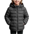 thumbnail image 2 of Mifsaly Girls and Toddlers Warm Puffer Jackets Detachable Hood Zip Up Quilted Coat Fall Winter Daily Outdoor Play Back to School Padded Jacket, 2 of 8