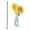 Canvas, variant on Art.com Fresh Cut Sunflowers I Art Print by Danhui Nai, 12" x 16"