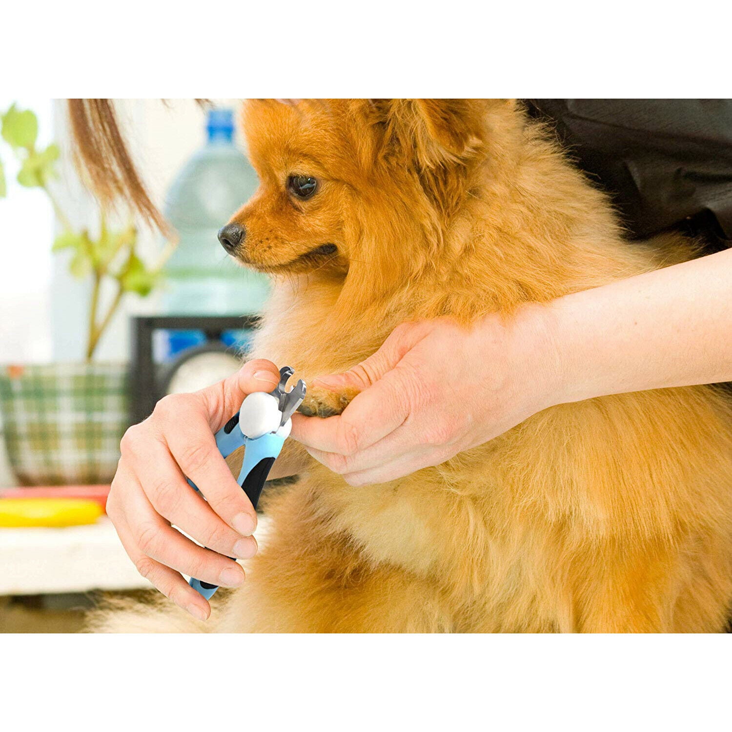 Pets First Dog Nail Clip pers and Trim mer with Safety Guard to Avoid Over-Cutting