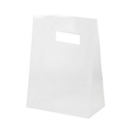 JAM Paper Mini Frosted Lunch Bag, 3 x 4 x 1.5, Clear, 1/Pack