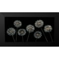 thumbnail image 2 of Frank, Assaf 18x11 Black Modern Framed Museum Art Print Titled - Dandelion flowers over black background, 2 of 5