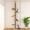 XL, variant on Wall Mounted Tree with 2 count Non-Slip Carpet, 63" Tall Sisal and Shelves Perch with Track Ball, Wall Shelf ClimbingTower for Indoor Middle Large Kitten