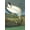 Unframed, variant on Art.com Wood Stork Art Print by John James Audubon, 12" x 18"