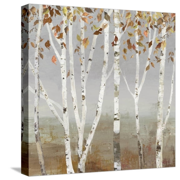 Art.com Fall Diffraction Stretched Canvas Print Wall Art by Allison Pearce, 16" x 16"