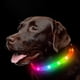 thumbnail image 1 of Rechargeable LED Pet Collar with Waterproof Design and Color-Changing Lights for Enhanced Visibility, 1 of 5