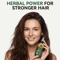 thumbnail image 2 of HOSUE 10-in-1 Hair and Scalp Oil,Infused with Rosemary Oil&Platycladus Leaf Botanical Essential Oils,3.38fl.oz, 2 of 9