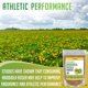 thumbnail image 3 of Suplemento XPRS Nutra Organic Rhodiola Rosea en polvo 30 ml, 3 of 7