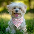 thumbnail image 2 of Dog Bandana 1 Pack,Classic Princess Pattern Bandanas for Dogs,Cat Bandana,Small/ Large Dog Bandana 2 Size,Dog Bandanas, 2 of 6
