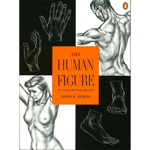 Pre-Owned The Human Figure: An Anatomy for Artists (Paperback 9780140042436) by David K Rubins