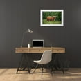 thumbnail image 3 of Jaynes Gallery 32x23 White Modern Wood Framed Museum Art Print Titled - Scotland-The Isle of Skye Close-up of highland cow, 3 of 4
