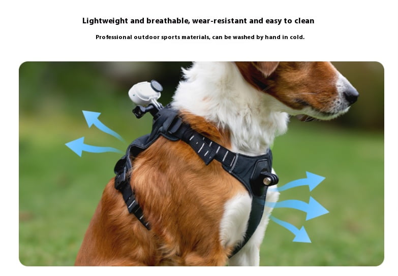 Dual-Angle Pet Camera Harness - Bigcan Adjustable Dog Chest & Back Mount Vest Compatible with GO 3S/GO 3/GO 2, Lightweight Breathable Strap for Small Medium Pets