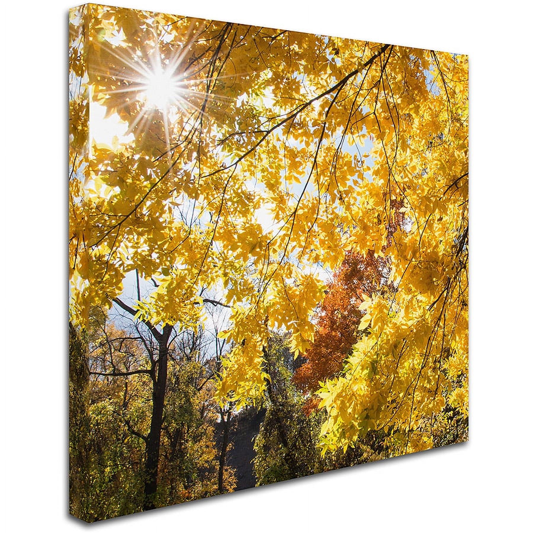 Trademark Fine Art "Sunny Happy Autumn Day" Canvas Art by Kurt Shaffer