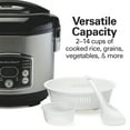 thumbnail image 3 of Hamilton Beach 14 Cup Rice Cooker & Hot Cereal Cooker, Stainless Steel, 3 of 8