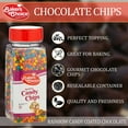 Rainbow Candy Coated Chocolate Chips Dairy Free, Kosher 10 oz