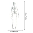 thumbnail image 3 of Uuiauoio Poseable Skeleton Fridge Magnet with Movable Joints, Articulated Halloween Decor for Kitchen, Office, and Locker, Fun Gothic Style Refrigerator Accessory with Strong Magnetic Hold, 3 of 4