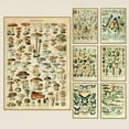 thumbnail image 2 of Retro Poster Mushroom Biological Figure Decorative Painting Core Teaching Study Living Room Canvas Painting, 2 of 5