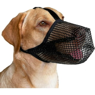 Dog mouth guard walmart hot sale