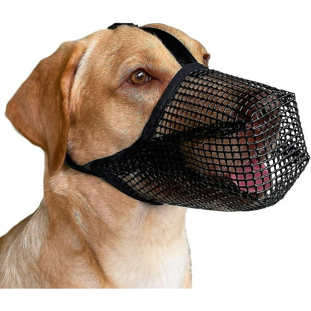 Muselière pour Chien avec Sangles Réglables, Muselière en Filet Souple pour Petit Chien de Taille Moyenne