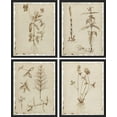 thumbnail image 3 of PixonSign Framed Wall Art Sepia Vintage Classic Flower Art, Set of 4 Collage Floral Wall Decor Prints, Nature Wildeflowers Wall Décor, Plants Rustic Vintage Posters for Home - 11"x14" Black, 3 of 5