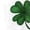 White, variant on Wangmeiwg St Patricks Day Leggings for Women Women's Printed High Waist Yoga Tights with Control for Fitness and Sport Activities White S