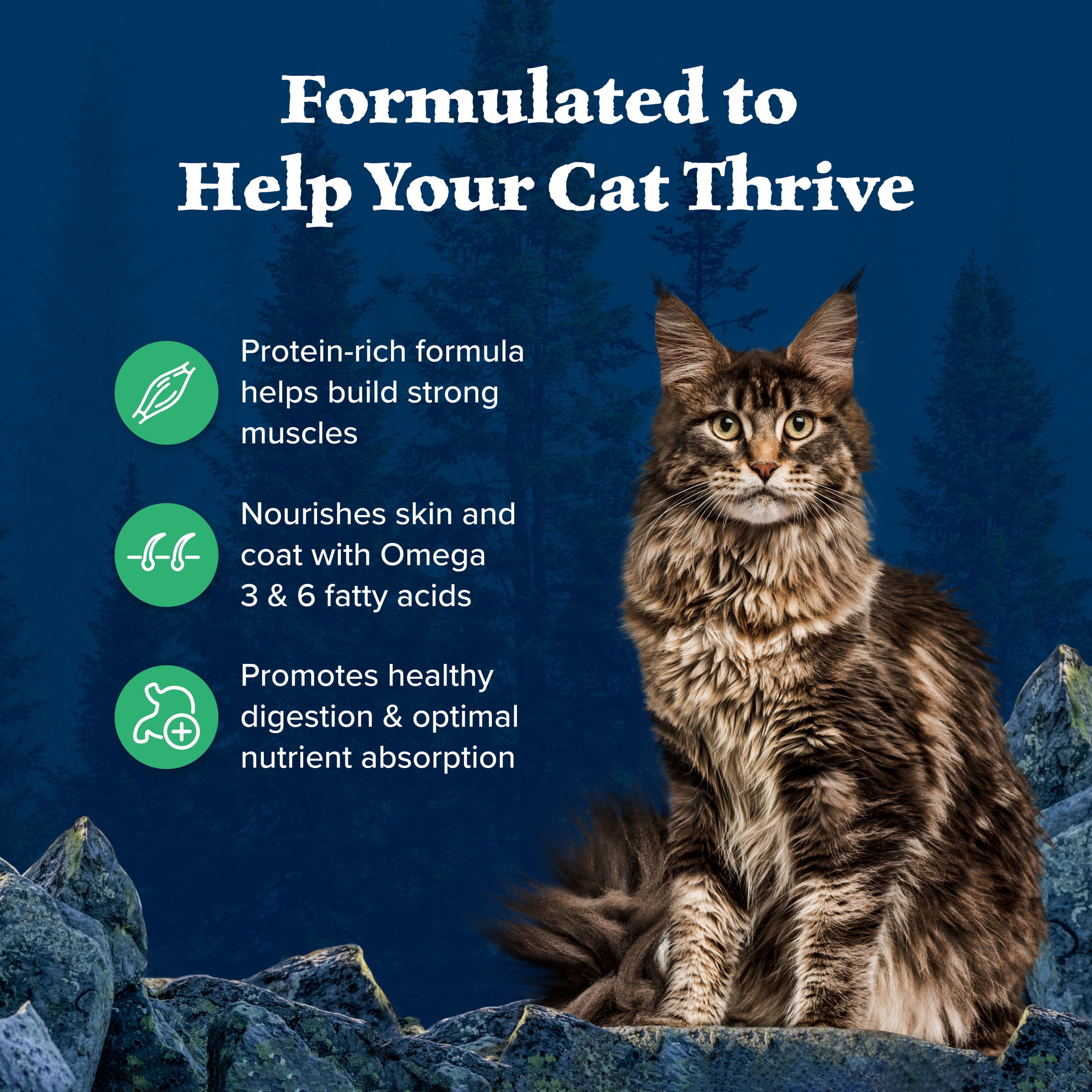 Blue Buffalo Wilderness Natural High-Protein, Grain-Free Dry Cat Food, Duck, 4-lb. Bag