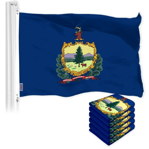 G128 5 Pack: Vermont VT State Flag | 3x5 Ft | LiteWeave Pro Series Printed 300D Polyester | Indoor/Outdoor, Vibrant Colors, Brass Grommets, Thicker and More Durable Than 100D 75D Polyester