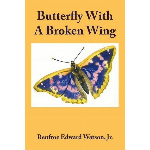 Butterfly With A Broken Wing (Paperback)