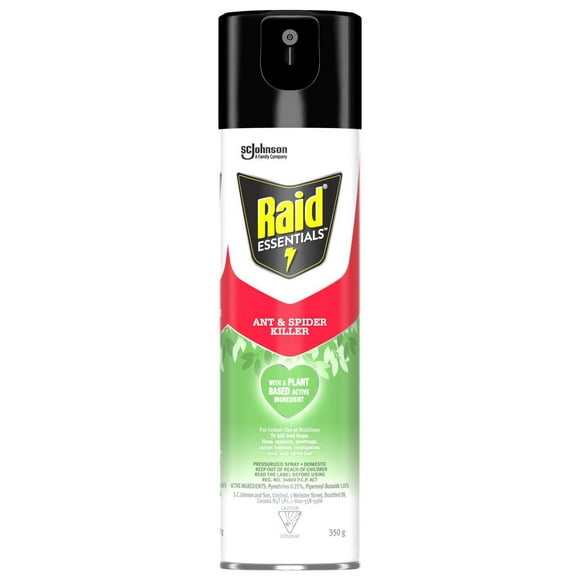 Raid Essentials Ant and Spider Insect Killer Spray, For Indoor Use, 350g, 350g