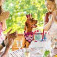 thumbnail image 7 of Vivifying Dog Birthday Bandans, Birthday Party Supplies Decorations for Middle and Large Dogs (Pink), 7 of 7
