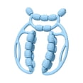 thumbnail image 4 of Almencla Rouleau de Massage Relaxant pour Muscles à 20 Roues pour Sports Intérieurs Bleu, 4 of 8