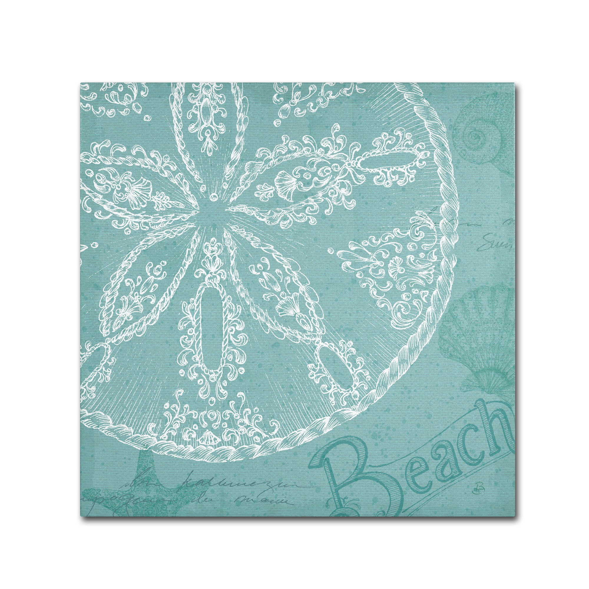 Trademark Fine Art "Aqua Treasure II" Canvas Art by Daphne Brissonnet