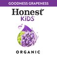 thumbnail image 3 of Honest Kids Goodness Grapeness Pouches, 6.75 fl oz, 32 Pack, 3 of 9