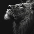 thumbnail image 6 of WYYP A Majestic Lion Round Table Cover 100% Polyester Fiber Great for Home Kitchen/Parties/Holiday Dinner White, 6 of 8