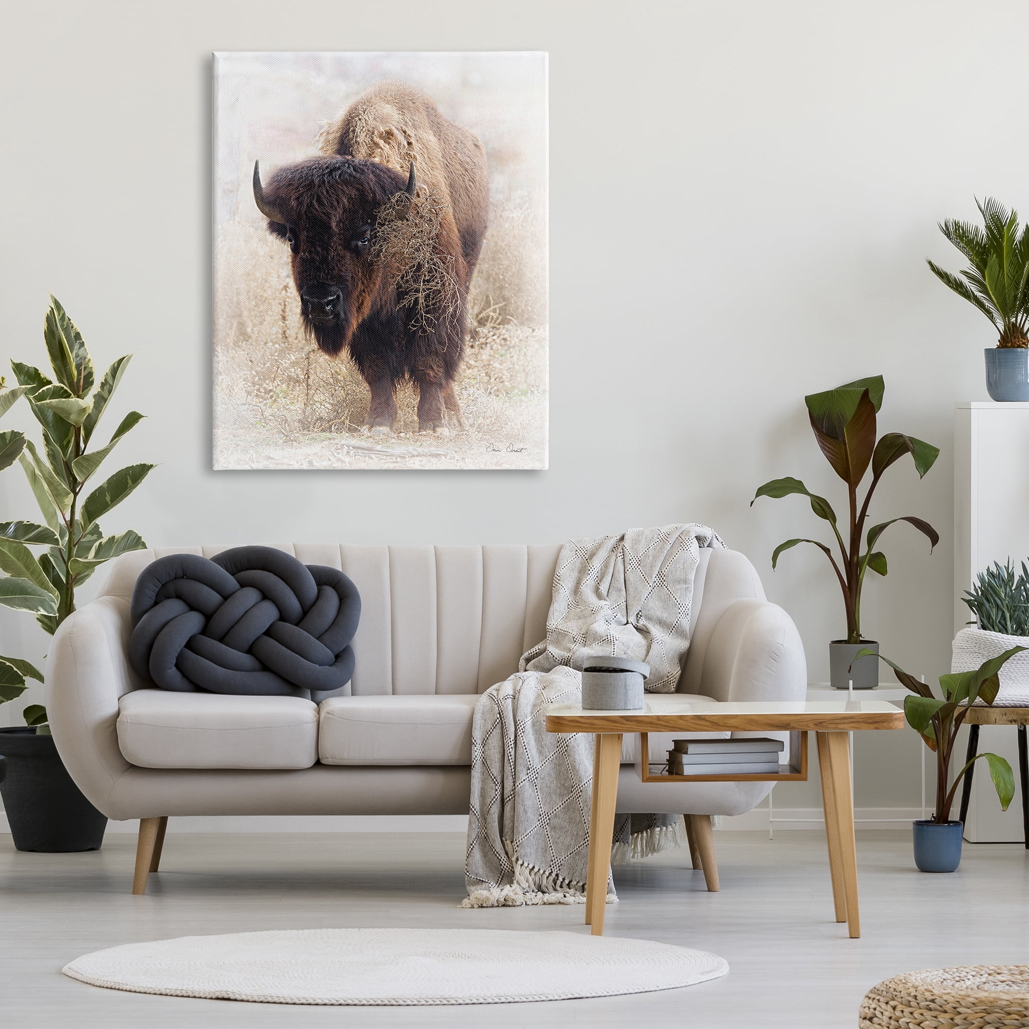Stupell Industries Bison Grazing Photography Animals & Insects Painting Gallery Wrapped Canvas Print Wall Art, 36 x 48