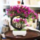 thumbnail image 4 of unbranded Adorno De Planta Artificial Para Interior Con Estilo Y Fácil Mantenimiento, 4 of 6