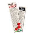 Red Poppy Flower STF9 Seed Grow Kit The Jonsteen Company
