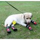 thumbnail image 4 of 4 Uds. Zapatos de moda para cachorros, botas de escalada antideslizantes para deportes al aire libre, suministros para mascotas, perros pequeños, medianos y grandes (negro, S) oso de fresa Electrónica, 4 of 5