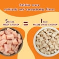 thumbnail image 5 of Jungle Calling Freeze Dried Cat and Dog Treats Grain Free, Raw Single Ingredient Chicken High Protein Snacks for Training, 5 of 9