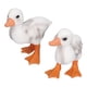 thumbnail image 2 of Modelo de Pato Blanco Ticfox 2 Piezas, 2 of 12