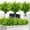 Green, variant on 8PCS Artificial Boston Fern Fall Plant Fake Bushes Shrubs Outdoor Greenery UV Resistant Plants Faux Plastic Plants for Home Garden Indoor Fall Thanksgiving Autumn Decor (Green)