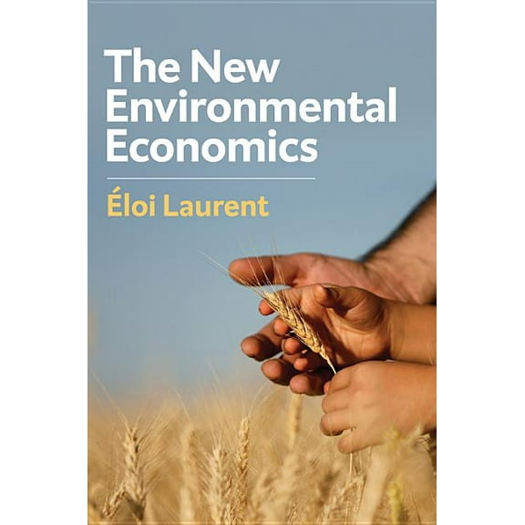 The New Environmental Economics (Paperback)