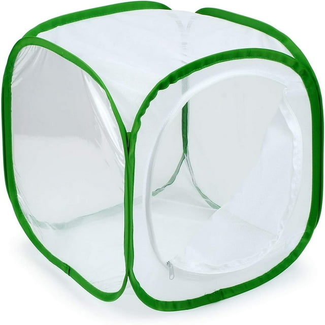 KEINXS Insect and Butterfly Habitat Cage Terrarium Pop-up 12 X 12 X 12 Inches-White With Green