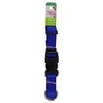 thumbnail image 2 of Pet Attire by Coastal Large 18-26" Blue Adjustable Buckle Dog Collar, 2 of 7
