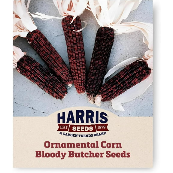 Harris Seeds Ornamental Corn Bloody Butcher Variety Non-GMO - 100 Seeds