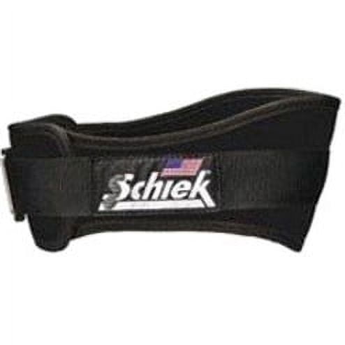 2006  Lifting Belt