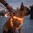 thumbnail image 4 of Light Up Dog Harness No Pull 12 Inch Reflective Adjustable Glow in The Dark Dog Walking Harness Waterproof Pet Chest Harness for Small Medium Large Dogs Yellow, 1 Pack, 4 of 6